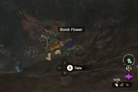 Zelda: Tears of the Kingdom Bomb Flowers Where to Buy