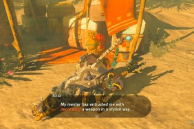 Zelda: Tears of the Kingdom Decorate With Passion Solution