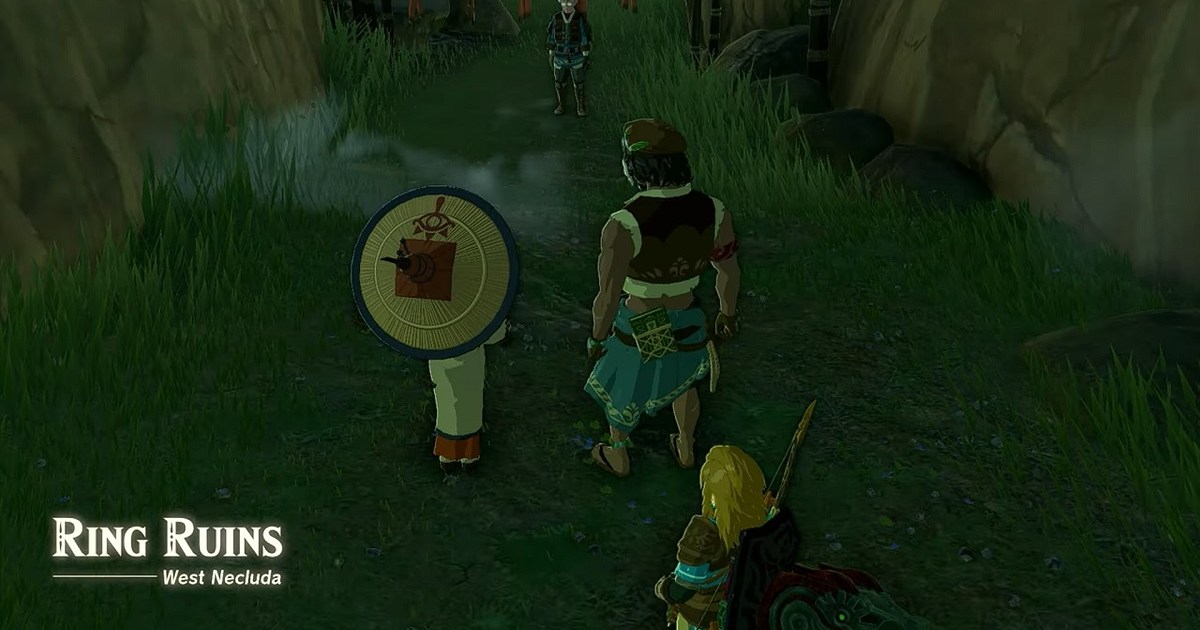 Zelda Tears of the Kingdom Find The Fifth Sage Solution Where Is The