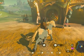 Zelda: Tears of the Kingdom Horses Transfer Not Showing Up