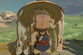 Zelda: Tears of the Kingdom Impa Missing Kakariko Village