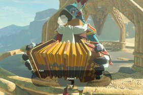 Zelda Tears of the Kingdom Kass Where Location