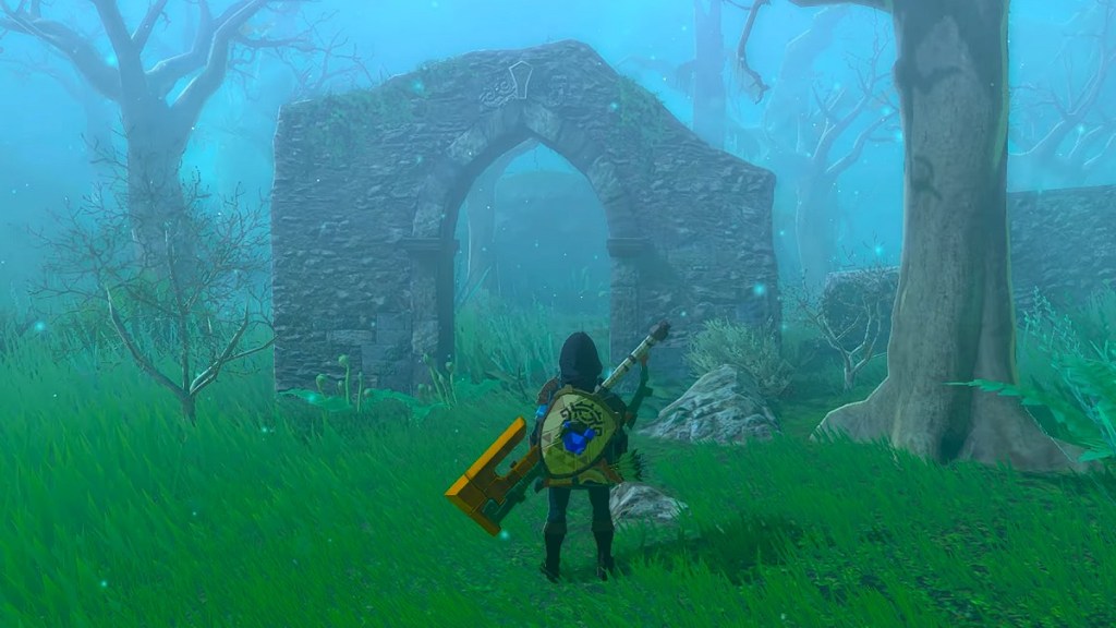 Zelda: Tears of the Kingdom Lost Woods Fog
