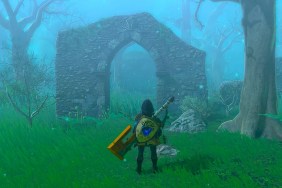 Zelda: Tears of the Kingdom Lost Woods Fog