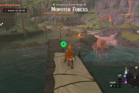 Zelda: Tears of the Kingdom Lurelin Village Missing Monster Forces