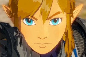 Zelda: Tears of the Kingdom Save Editor