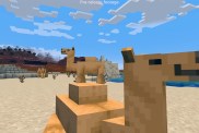 Minecraft Camels Location Tame Ride Breed