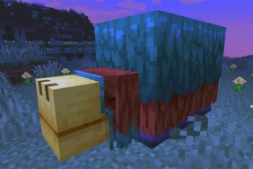 Minecraft Sniffer eggs breed tame