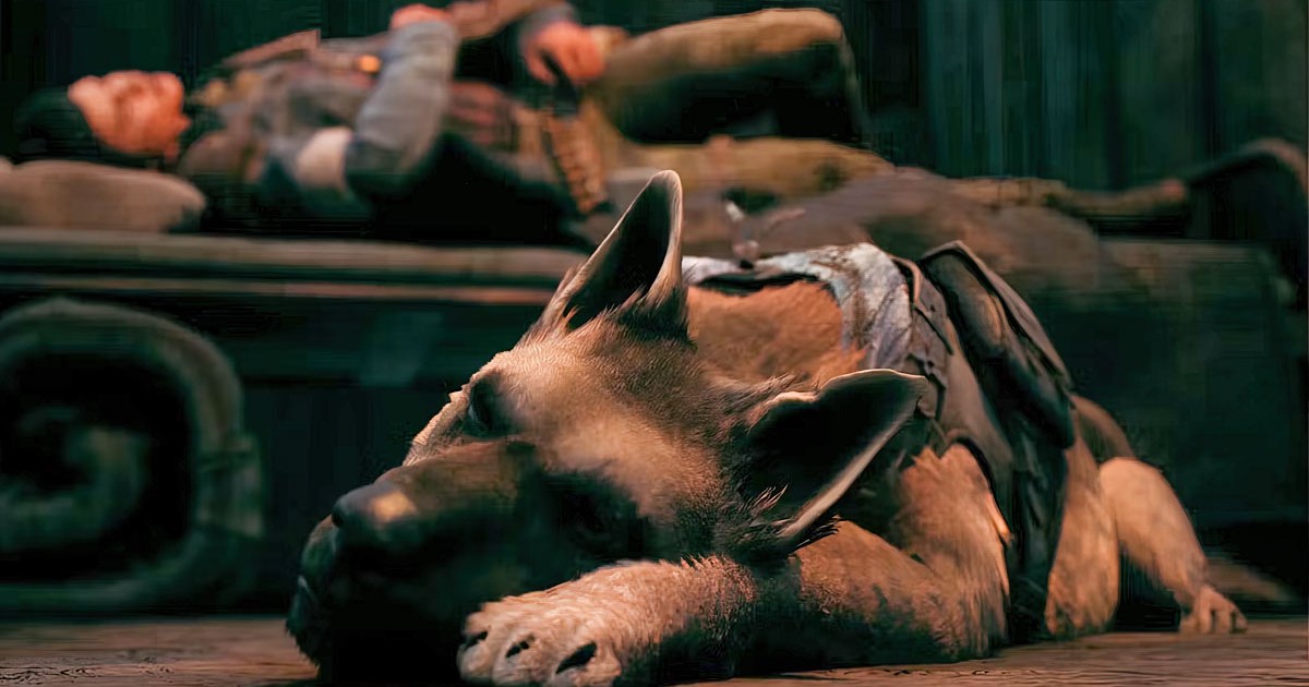 Remnant 2 Handler Dog Revive Not Working in Solo Is Bonded Perk Bugged