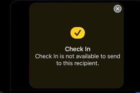 iOS 17 Check in not working