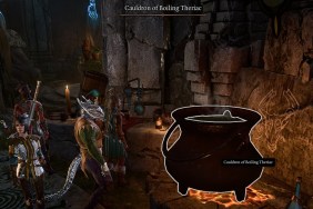 Baldur's Gate 3 BG3 Cauldron of Boiling Theriac Elixir of Silvanus Antidote