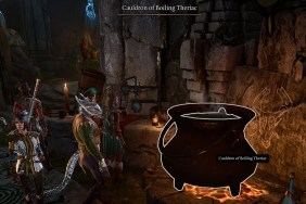 Baldur's Gate 3 BG3 Cauldron of Boiling Theriac Elixir of Silvanus Antidote