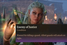 Baldur's Gate 3 Enemy of Justice Bug BG3