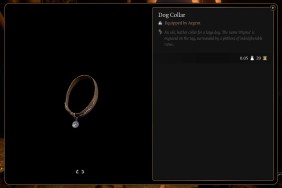 Baldur's Gate 3 Dog Collar BG3 Location Button Arcane Tower