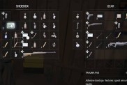 Alan Wake 2 Inventory Bug Fix