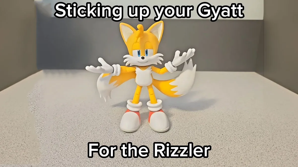 Tiktok: What Does the Sticking Out Your Gyat For the Rizzler Song Mean