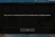 Palworld Sorry, You’re Currently Prevented From Playing Online Multiplayer Games Error Fix