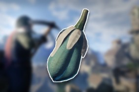 Enshrouded Yucca Fruit Locations