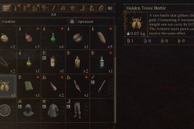Dragon's Dogma 2 Weight Load Increase Carrying Capacity Inventory Space
