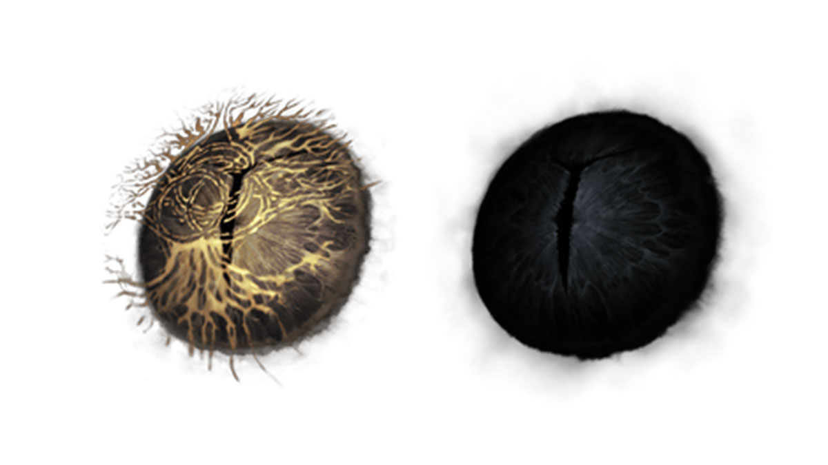 Elden Ring Shadow of the Erdtree Where to Use Iris