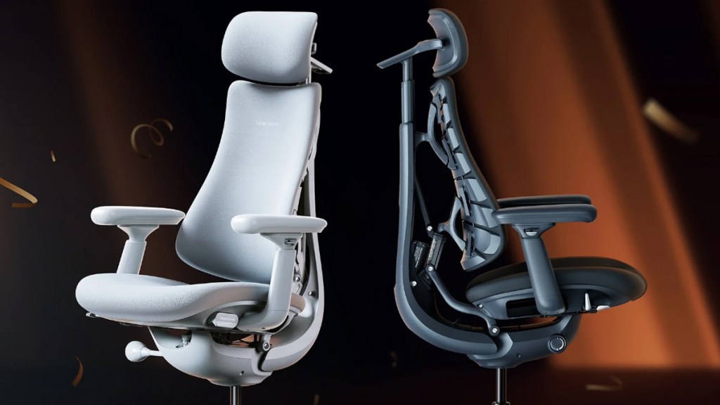 LiberNovo Omni Review