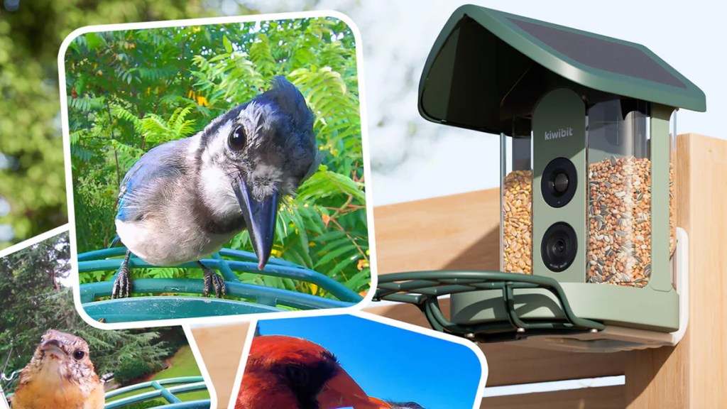 Kiwibit Bird Feeder 2 4K AI Camera Review