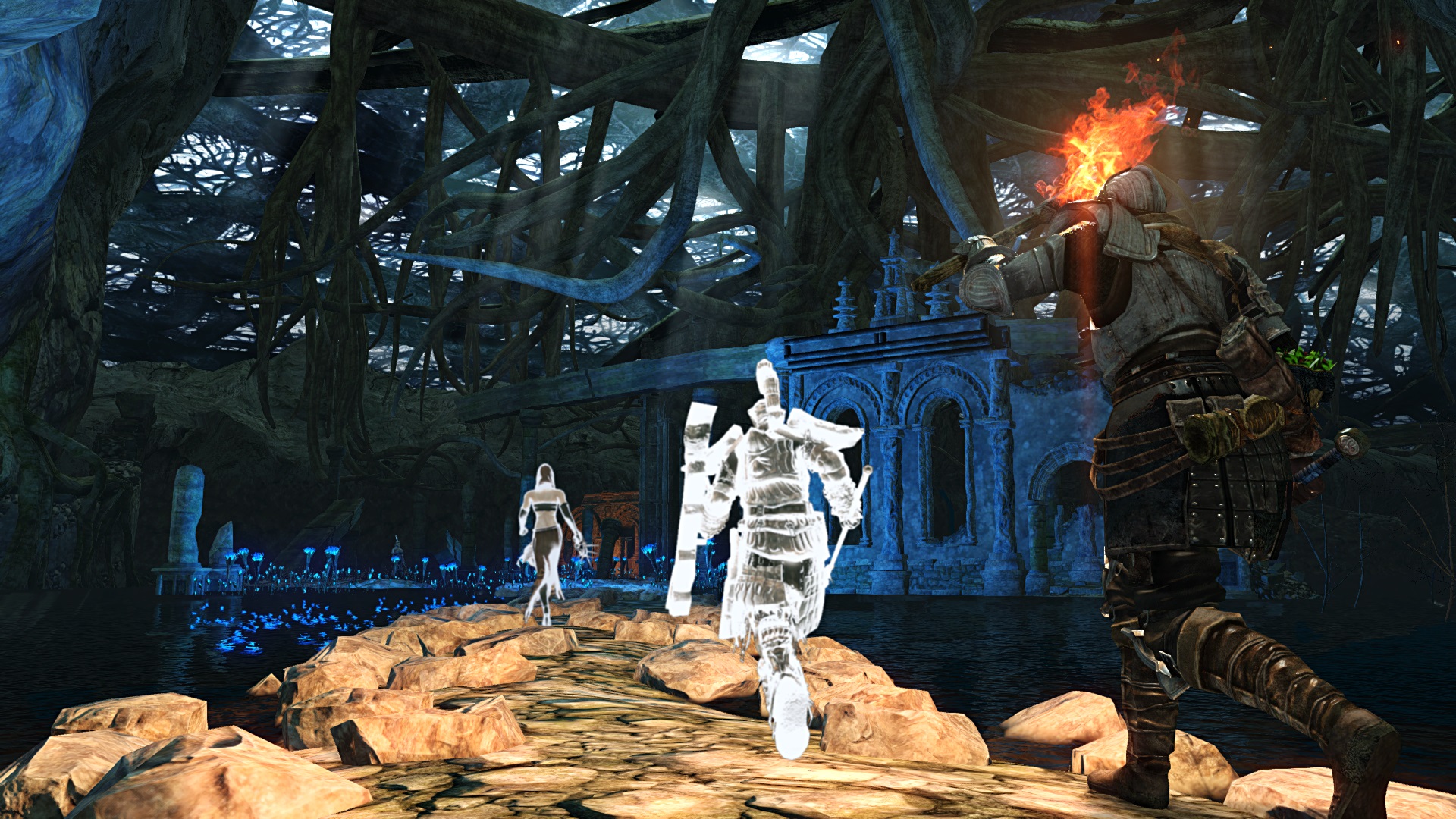 Dark Souls 2: Scholar of the First Sin Review - Niche Gamer