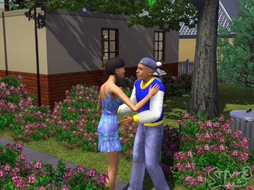 The Sims 3 #8