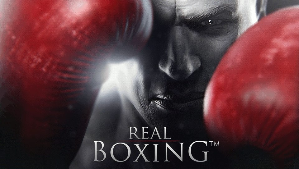 Real Boxing #3
