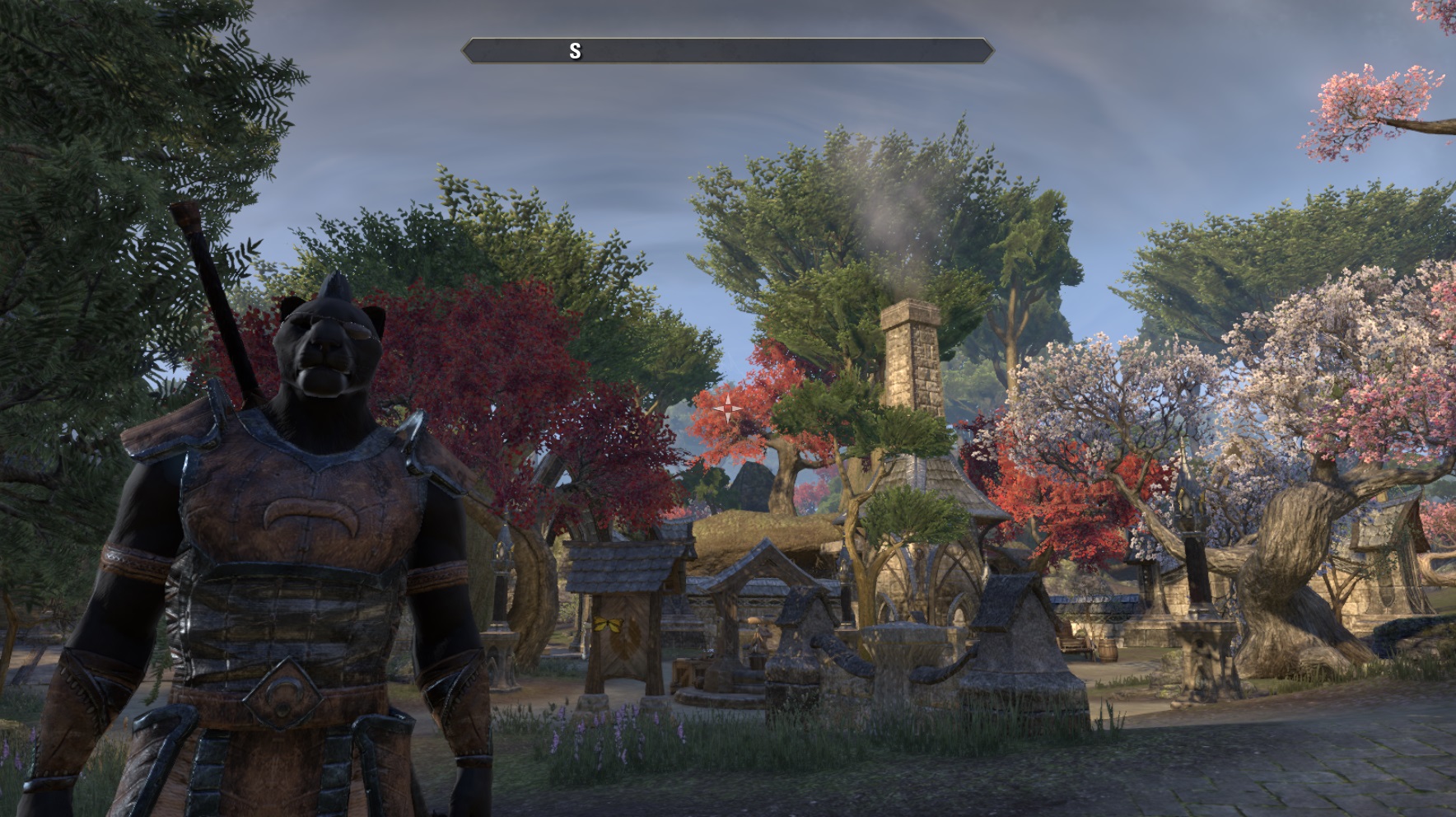 The Elder Scrolls Online Screenshots #4