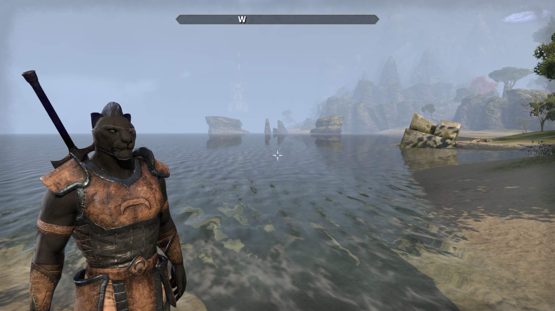 The Elder Scrolls Online Screenshots #6