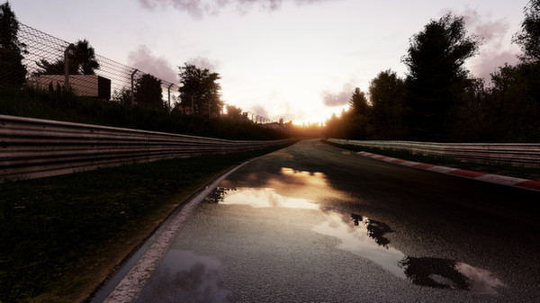 Project CARS #8