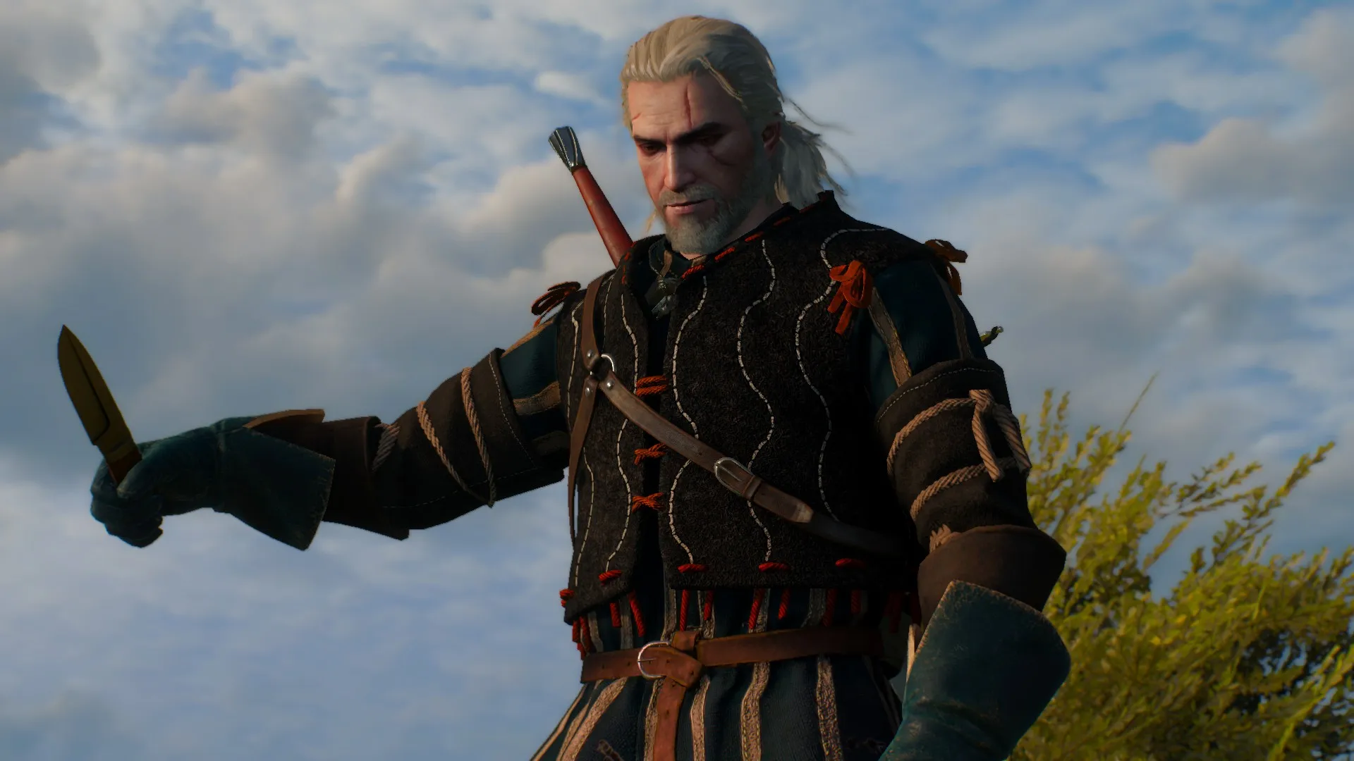The Witcher 3: Wild Hunt PC Review Screenshots #3