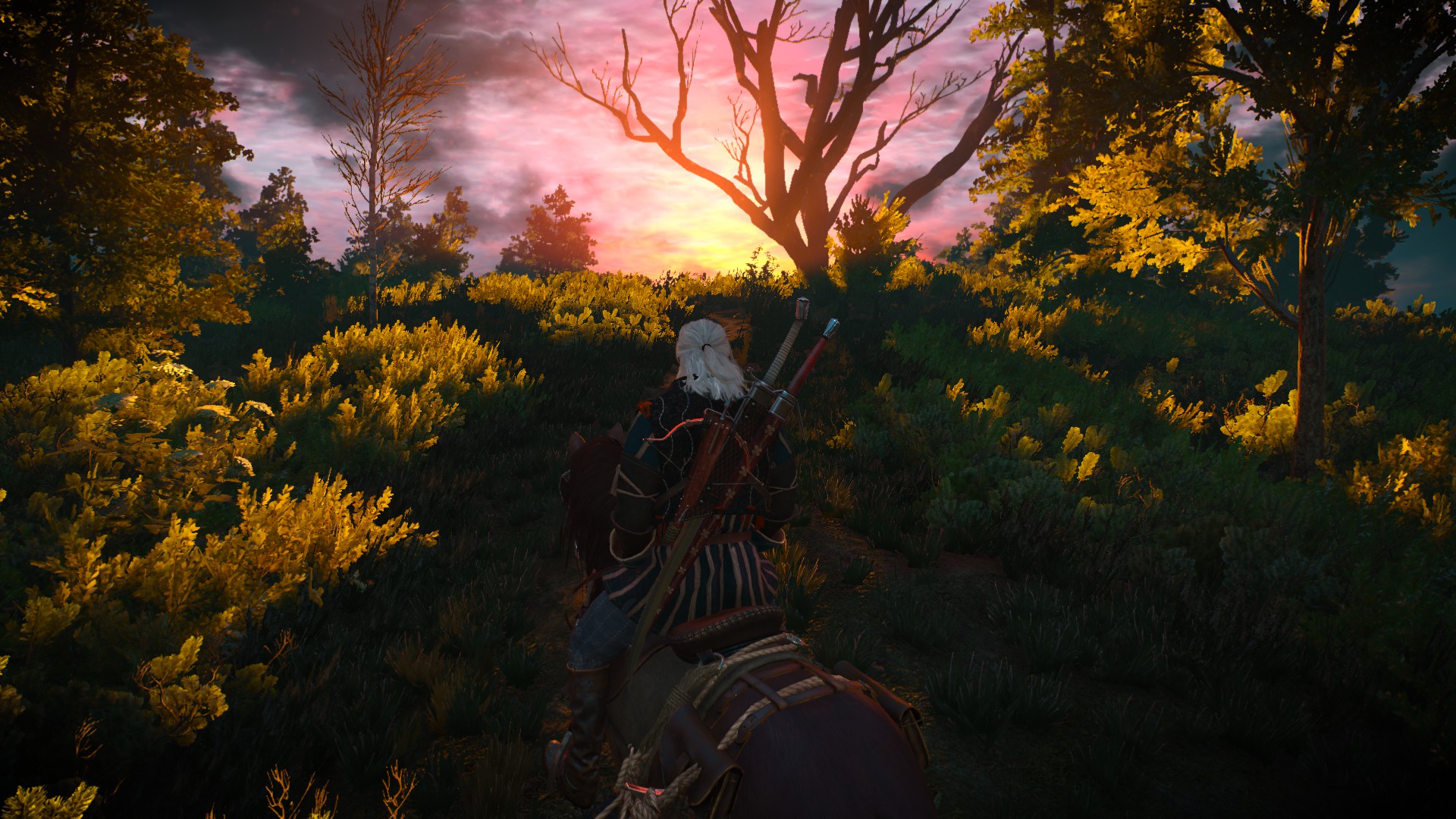 The Witcher 3: Wild Hunt PC Review Screenshots #5