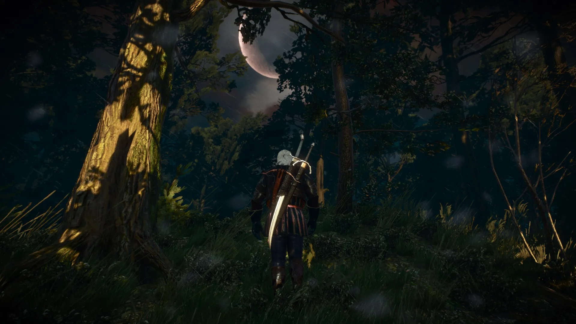 The Witcher 3: Wild Hunt PC Review Screenshots #7