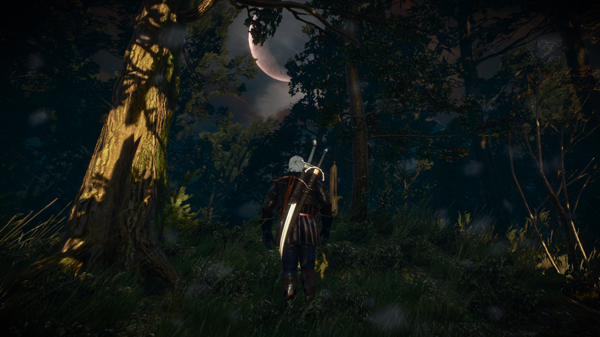 The Witcher 3: Wild Hunt PC Review Screenshots #7