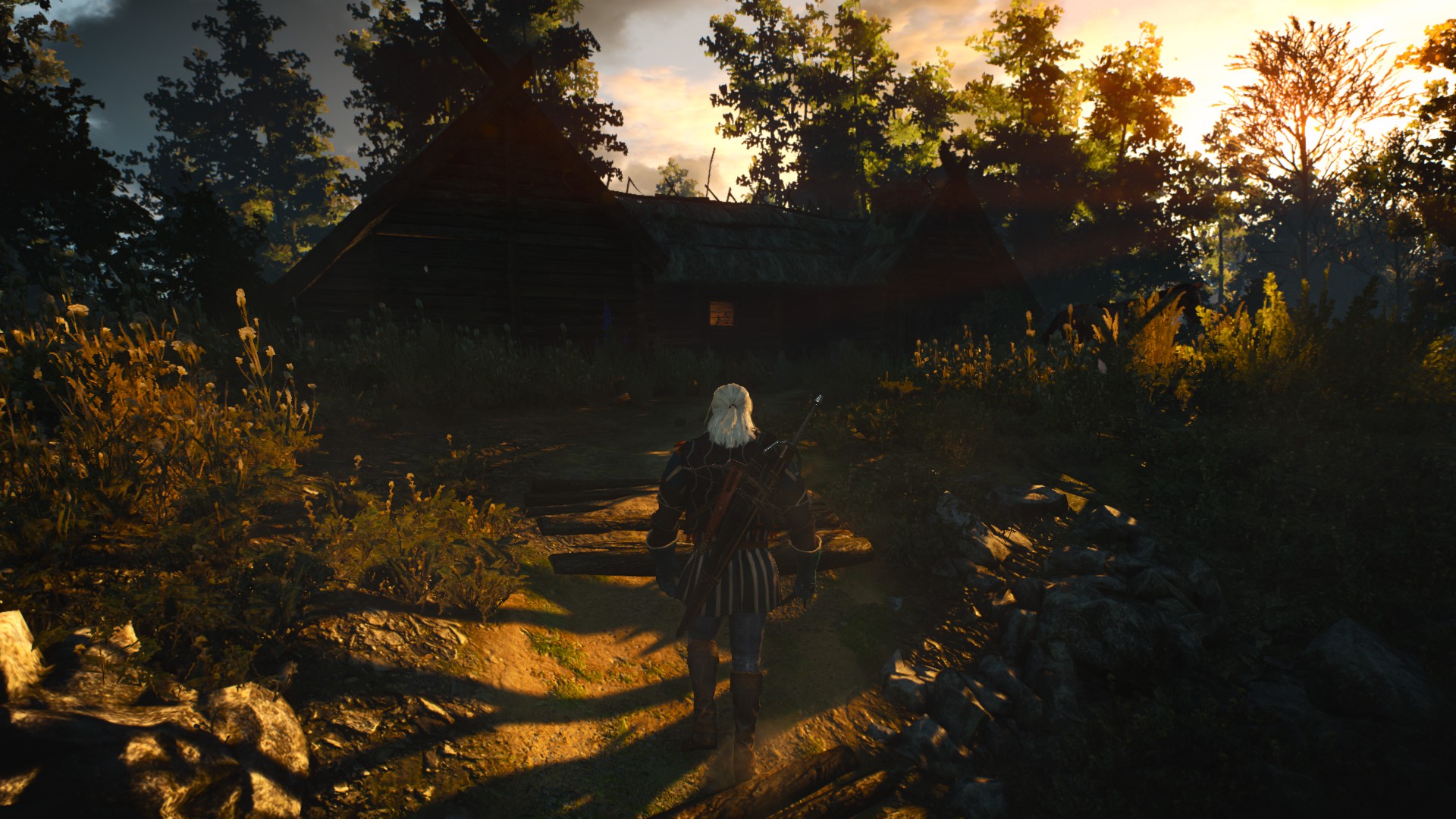 The Witcher 3: Wild Hunt PC Review Screenshots #8