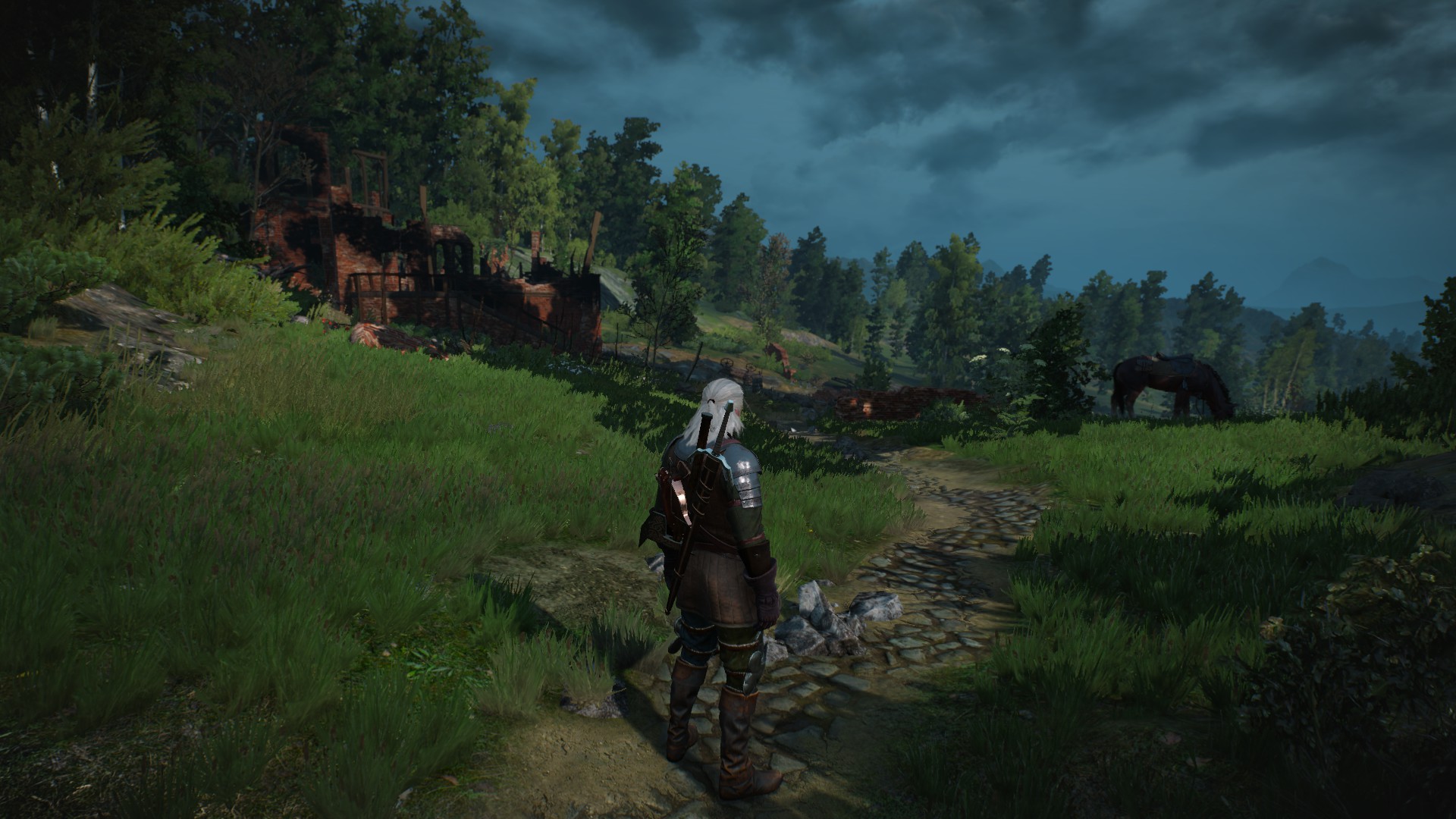 The Witcher 3: Wild Hunt PC Review Screenshots #11