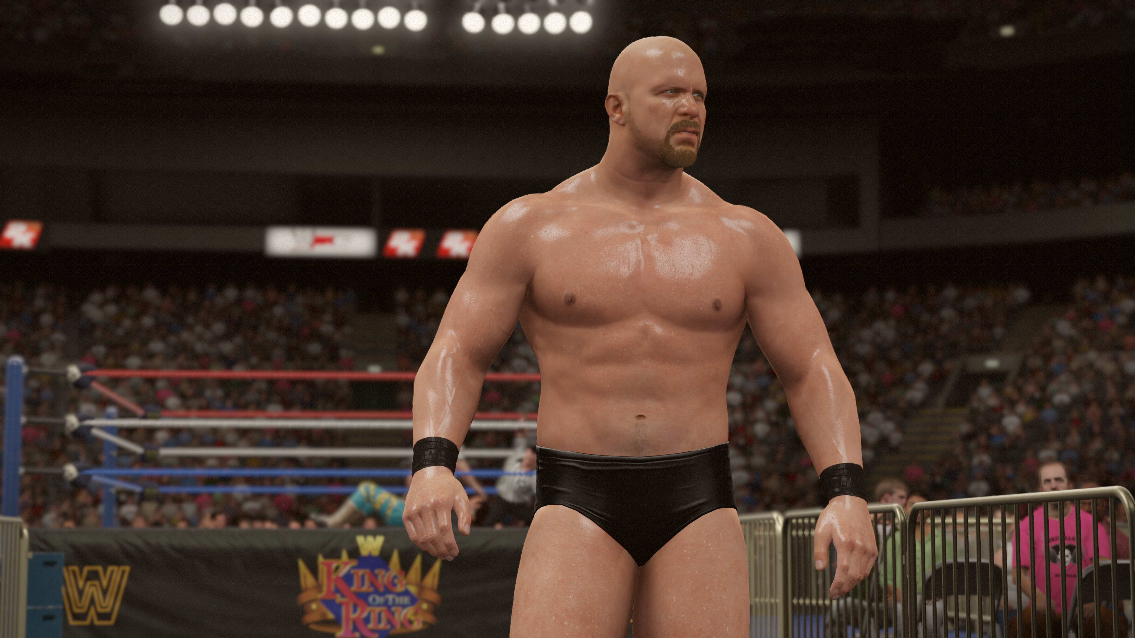 WWE 2K16 Screens #4