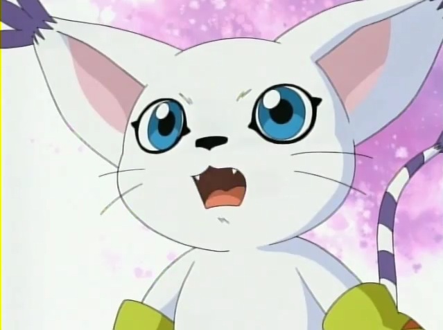 9. Gatomon