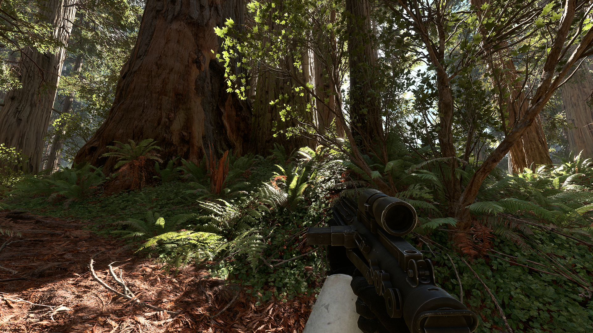 PC Endor #3