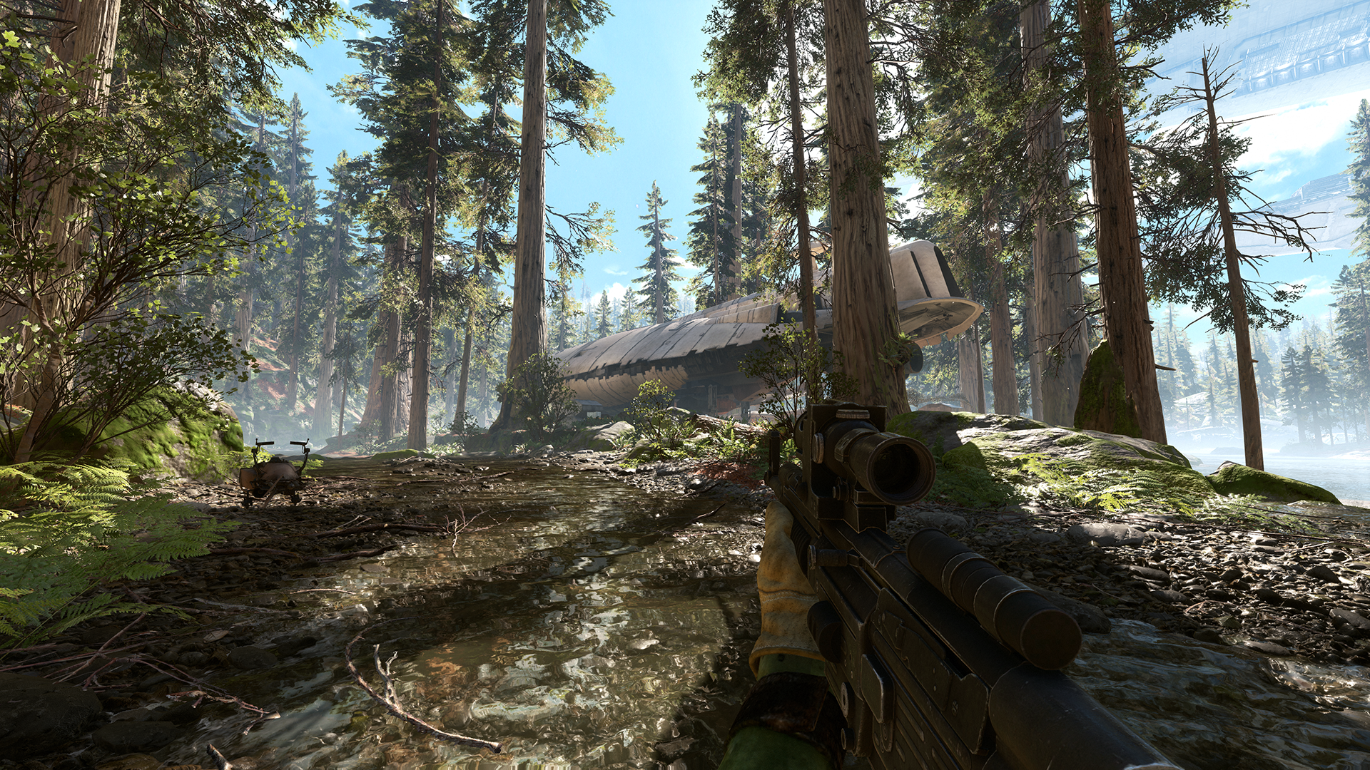 PC Endor #5