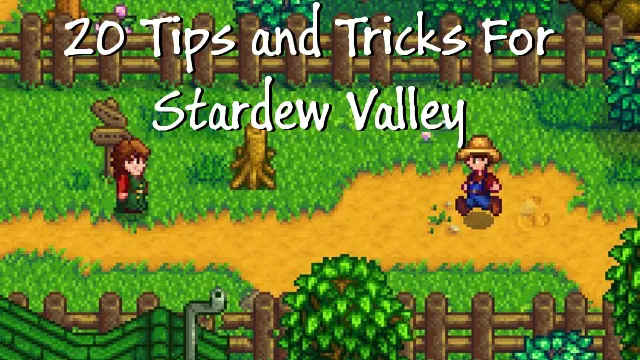 20 Tips and Tricks For Stardew Valley