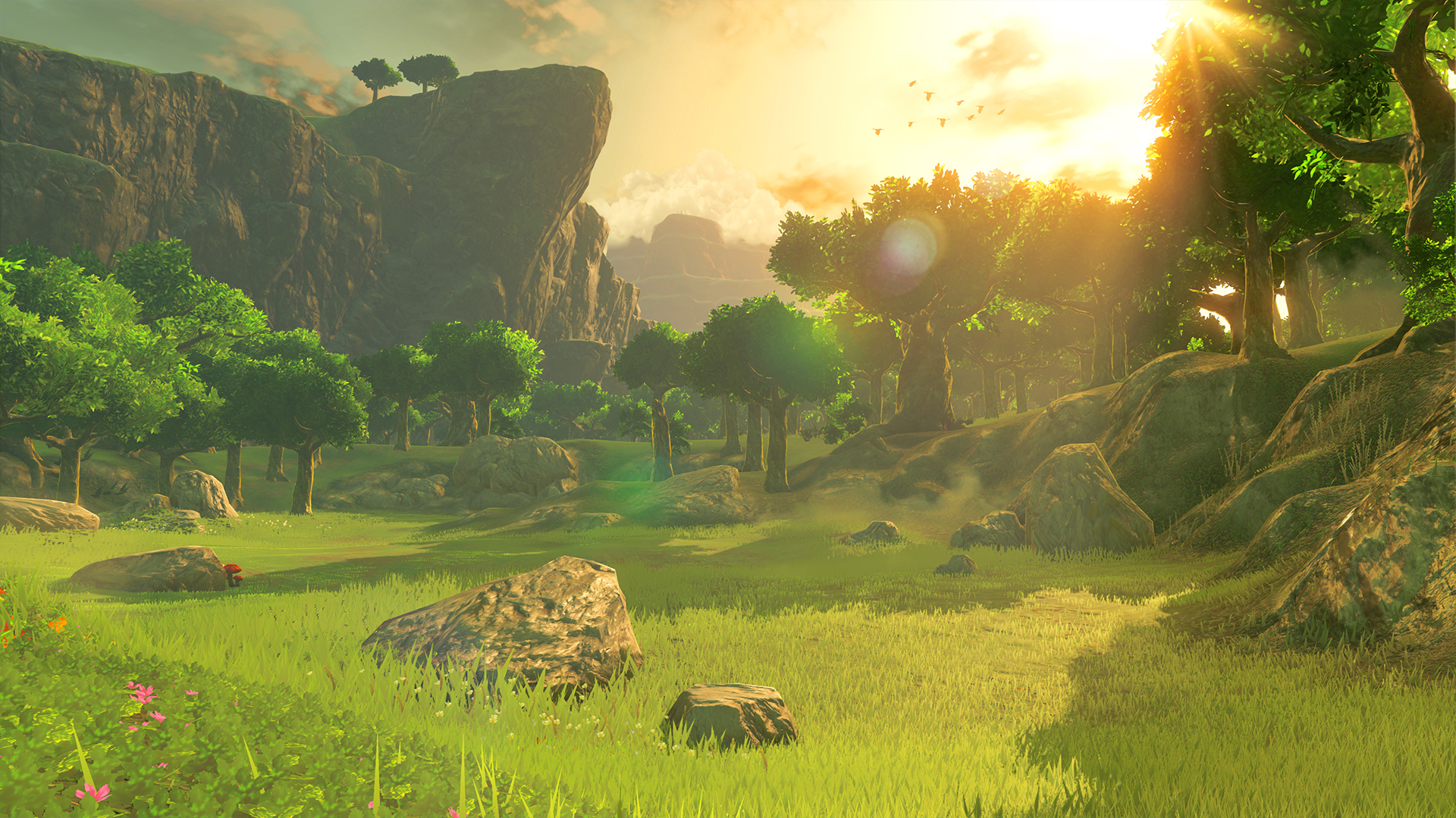 The Legend of Zelda: Breath of the Wild #5