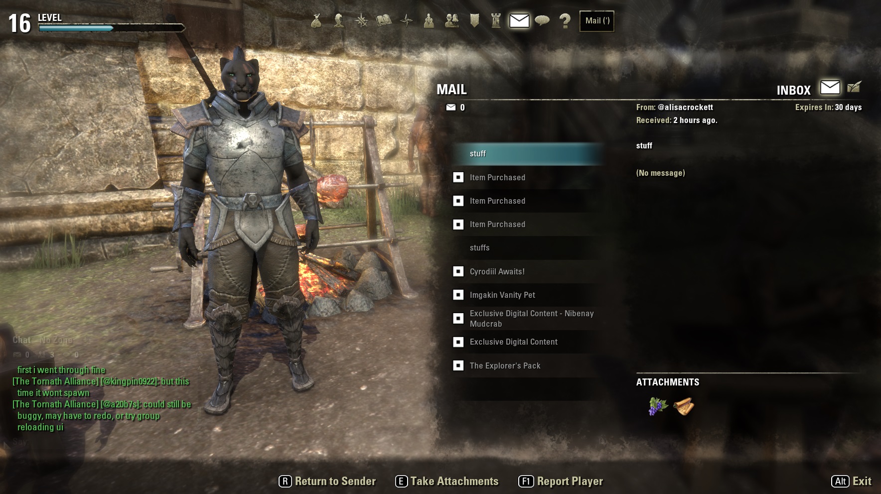 The Elder Scrolls Online Review Screenshots #4