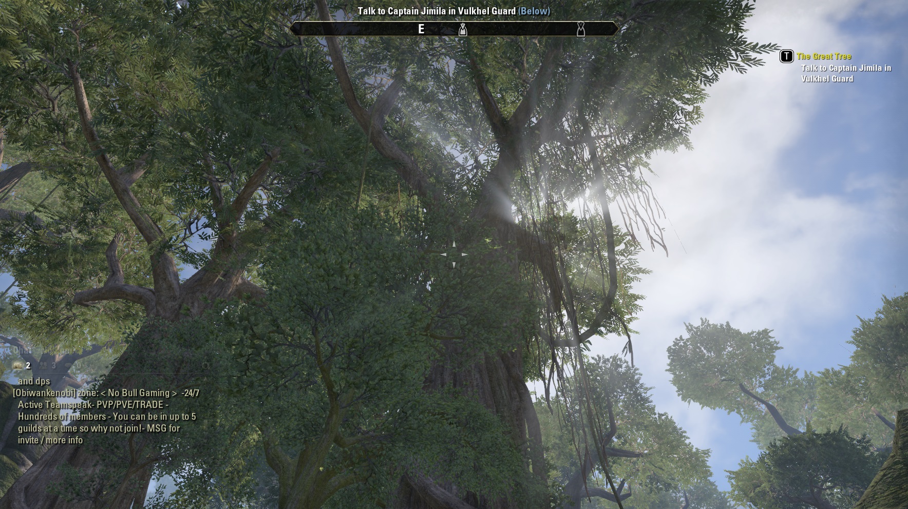 The Elder Scrolls Online Review Screenshots #8