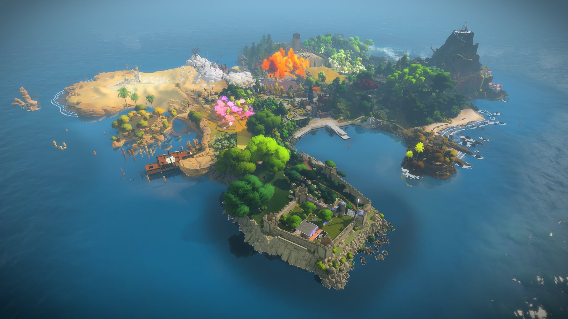 10. The Witness