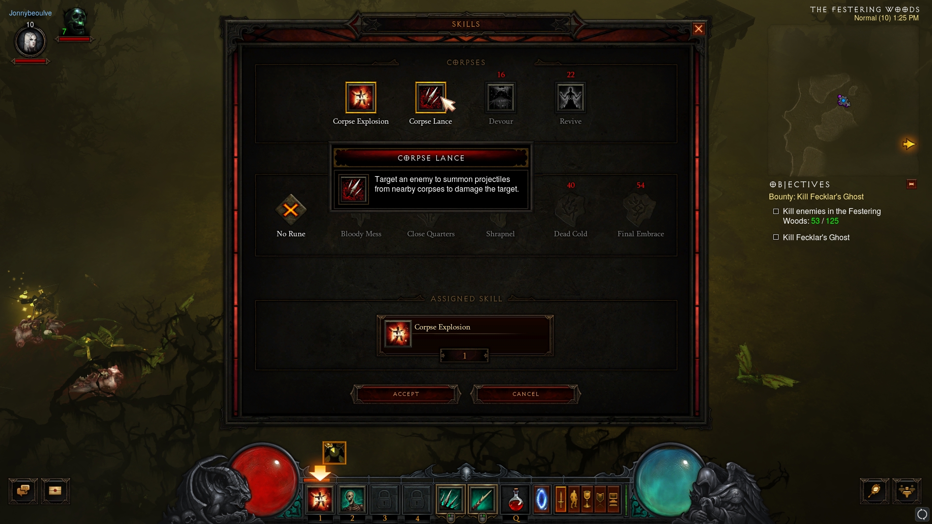 Diablo 3: Necromancer Abilities #8