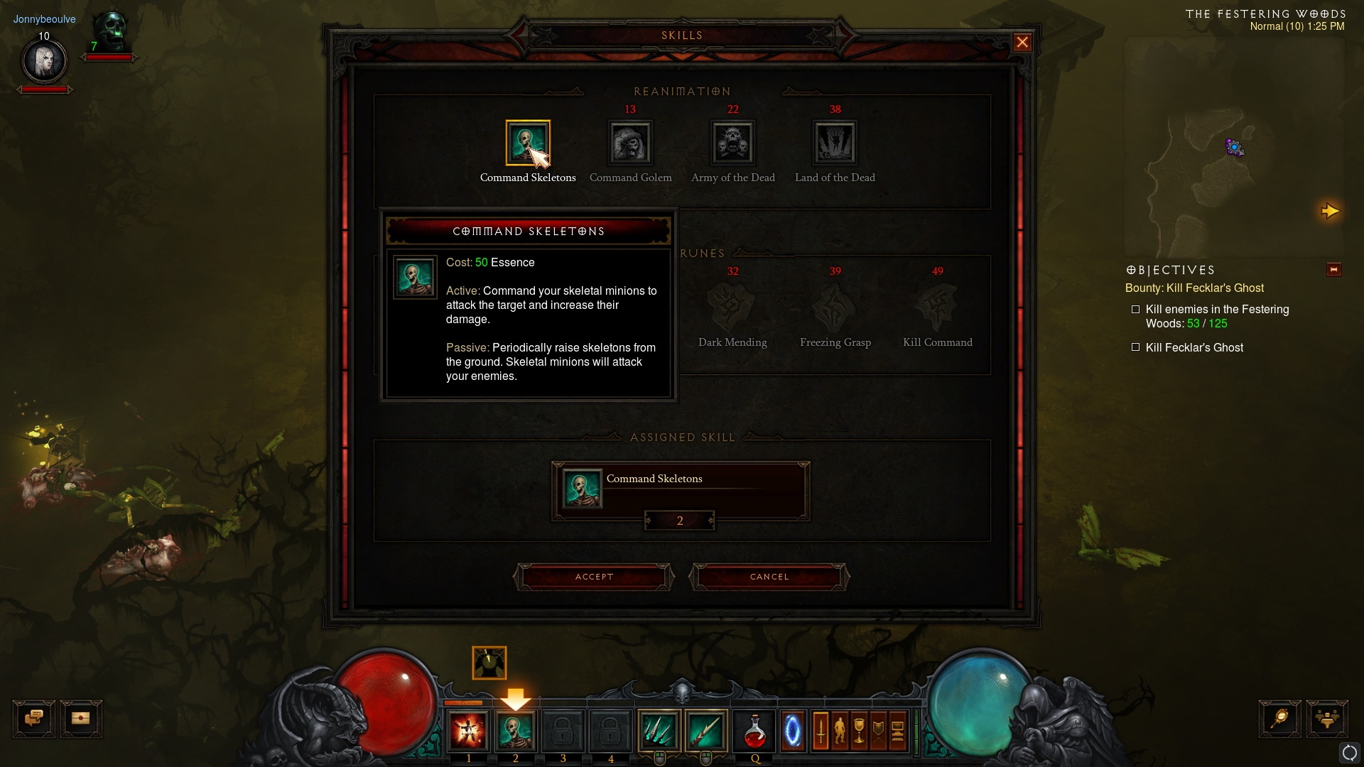 Diablo 3: Necromancer Abilities #11