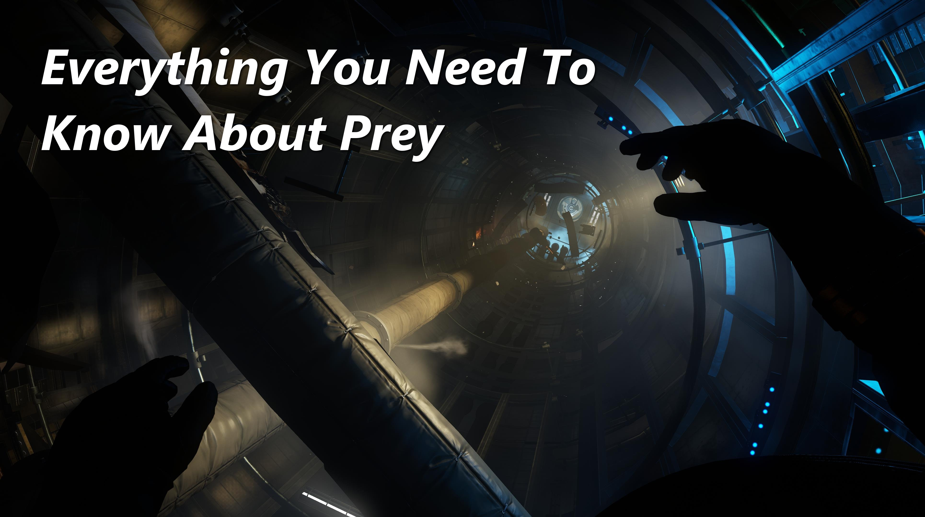 Everything You Need To Know About Prey